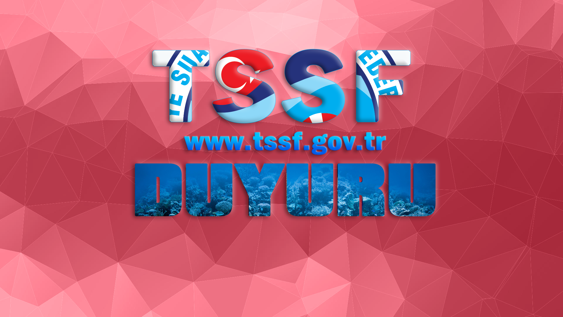 Paletli Yüzme, Sualtı Hokeyi ve Serbest Dalış 1. Kademe Yardımcı Antrenör Kursu Uygulama Eğitimi açılacaktır.