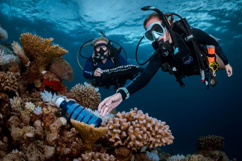 UNESCO DAN-PADI Okyanus Okuryazarlığı Projesini Onayladı.