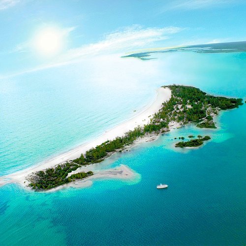 Cozumel'deki En İyi Dalış Noktaları